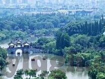 糖心直播官网安全下载-探寻安全的直播世界——糖心直播官网下载指南